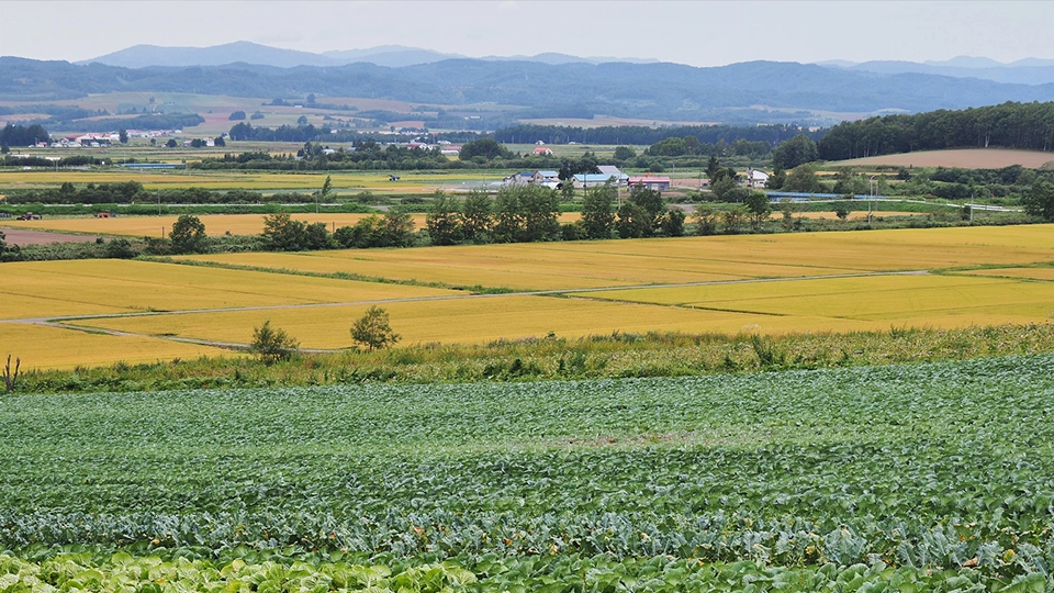 福祉・医療政策がすべての年齢層に対応する元気なまち「ていね」