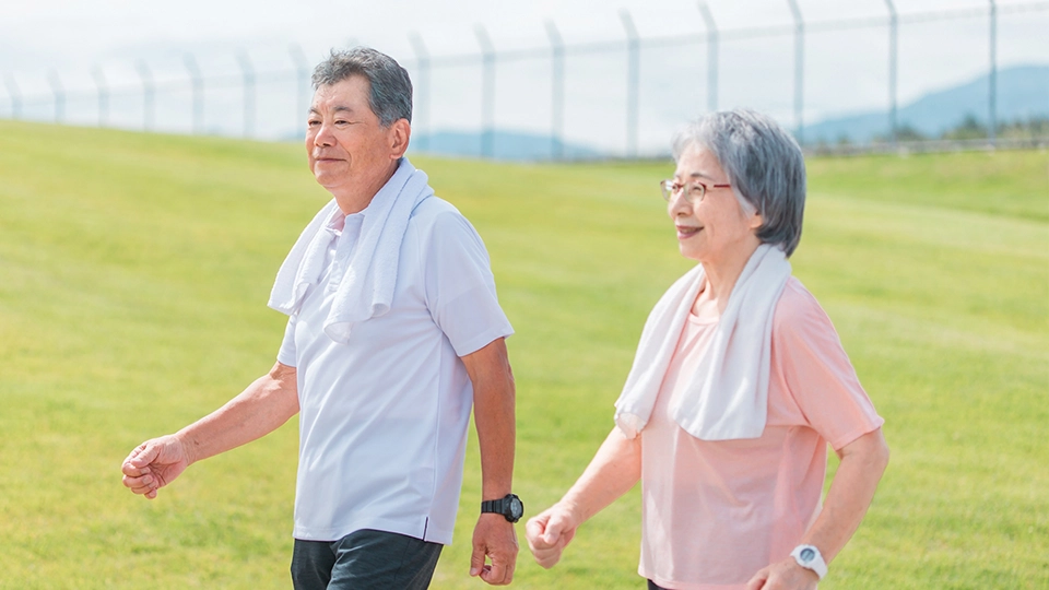 自然の豊かさ、都市と農村をむすぶ活力あふれる元気なまち「ていね」