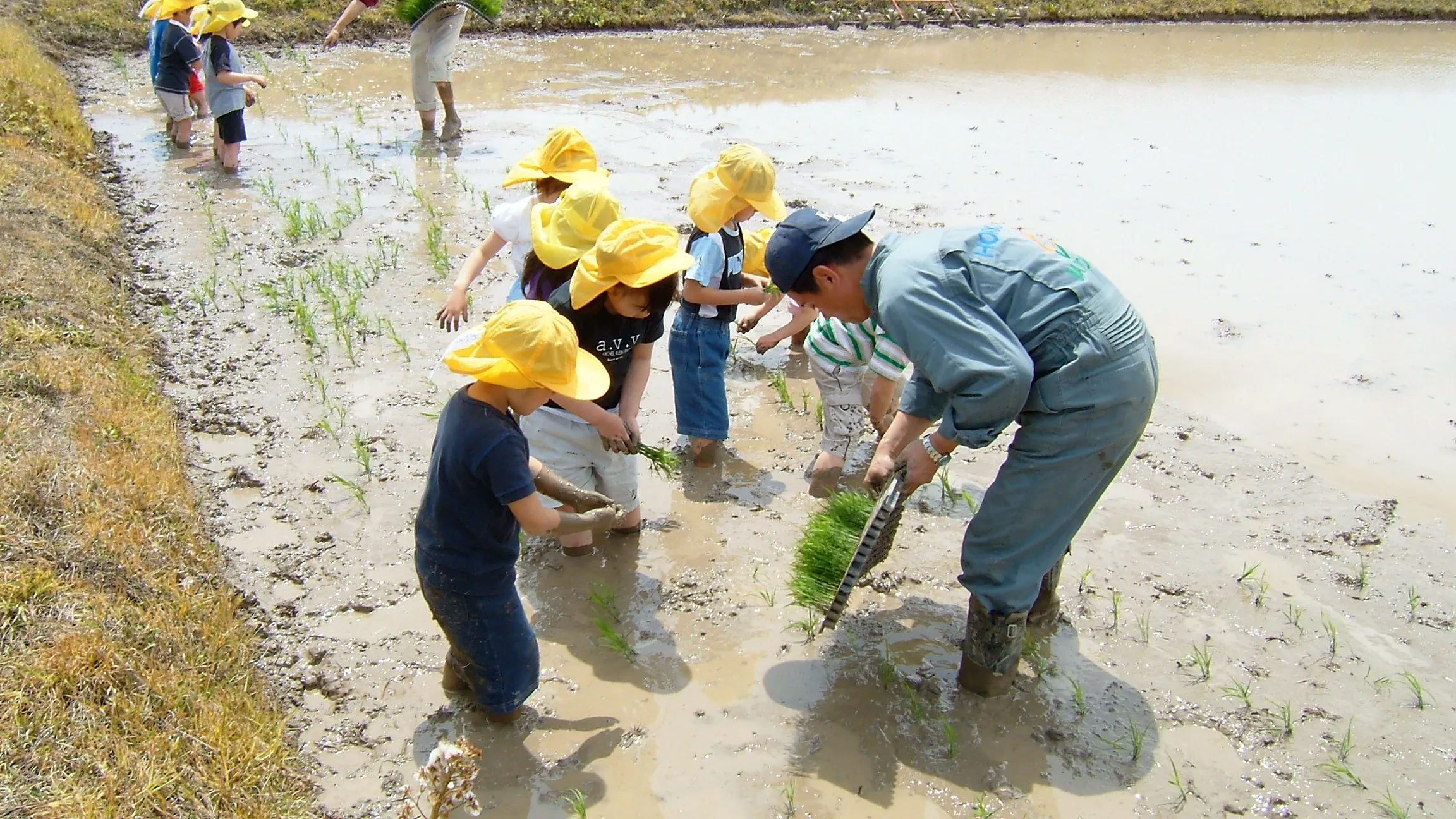 後援会活動の様子
